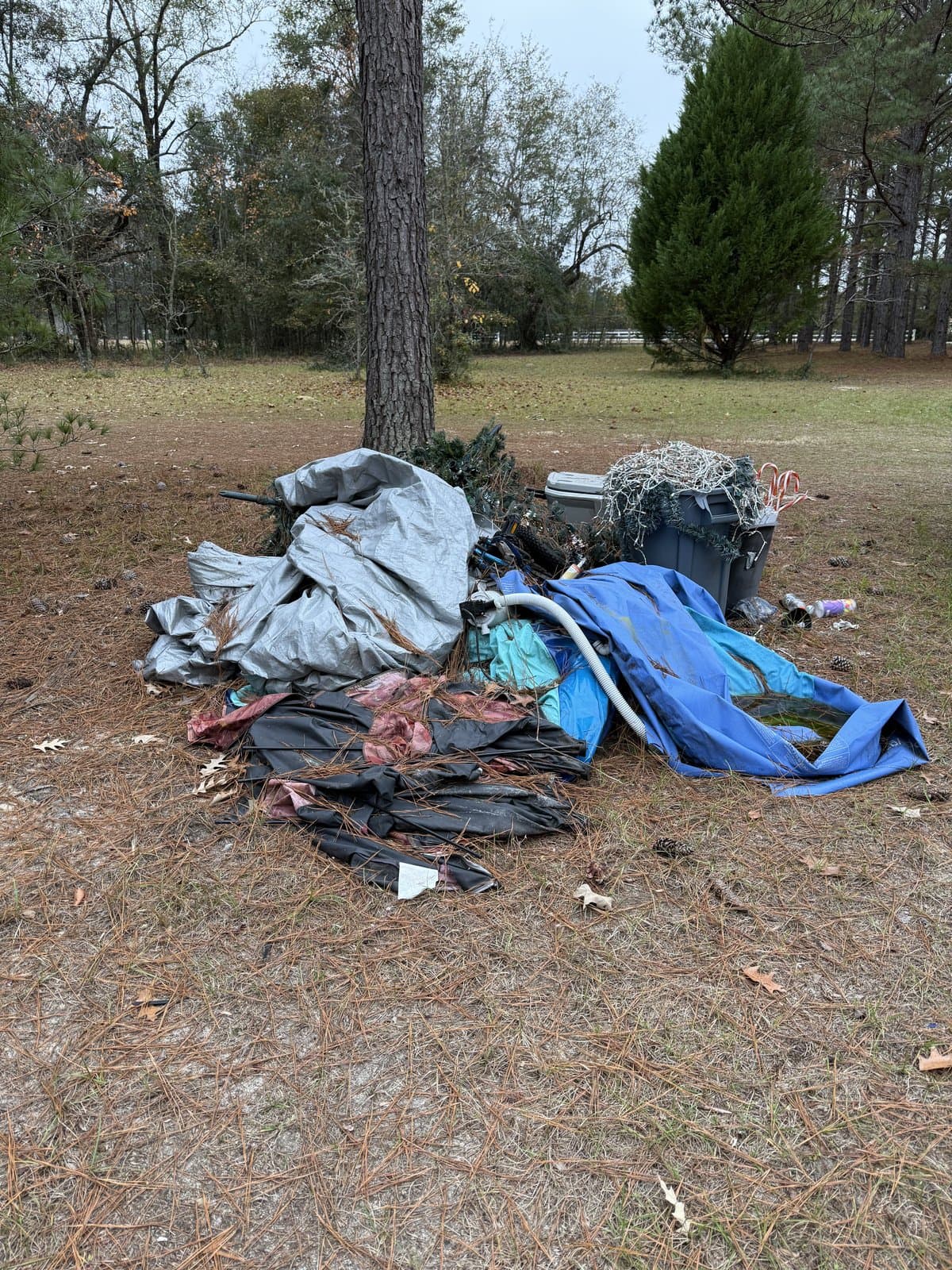 Debris Hauling in Springfield, GA | Precision Waste Removal