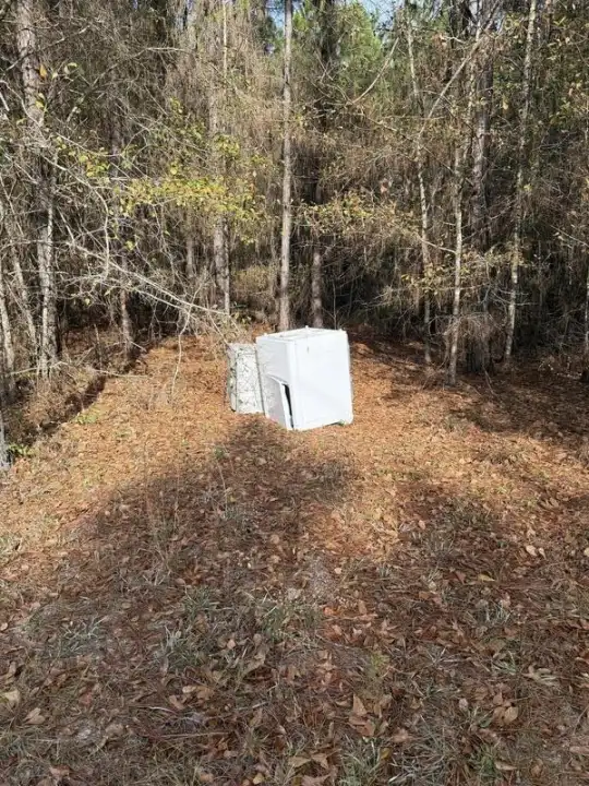 Furniture Removal in Springfield, GA