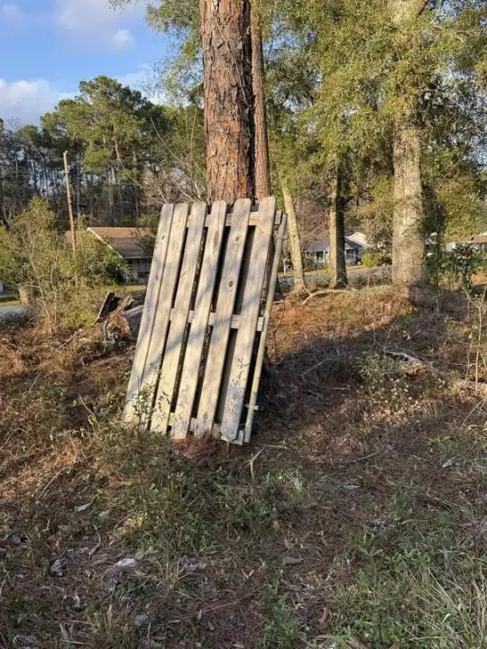 Commercial Cleanouts in Springfield, GA